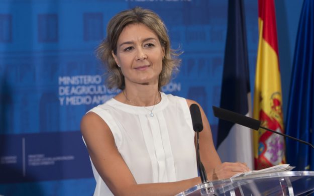 tejerina
