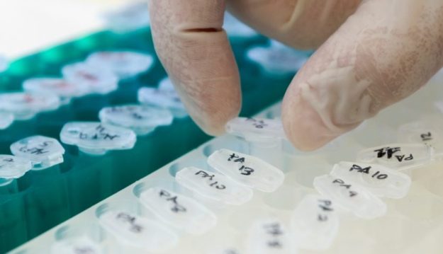 ensayo_clinico-e1621418769341-1