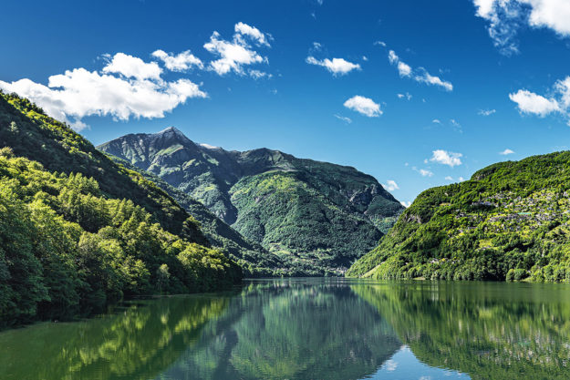 noticia-feique-medio-ambiente