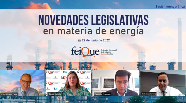 novedades-legislativas-feique